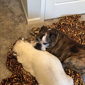 Meet your Posher, Nichole